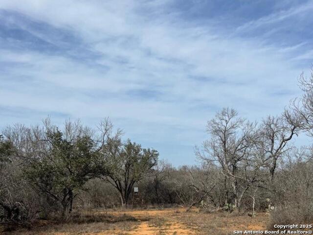 946 County Road 2863 Property Photo 13