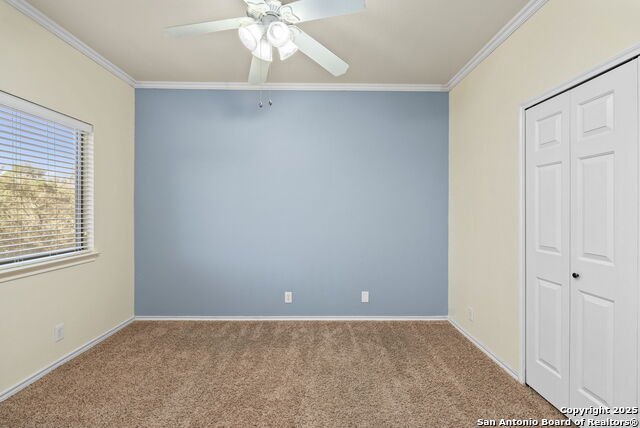 1718 Sandringham Property Photo 20