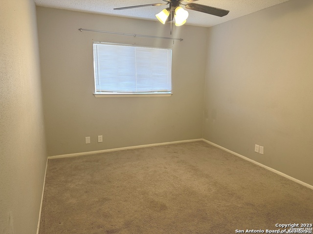 10015 Amber Field Property Photo 21