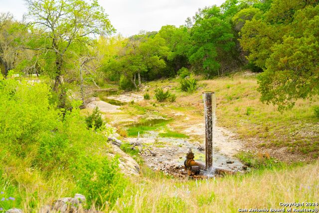Lot 5 N Shapen Springs Rd Property Photo 30