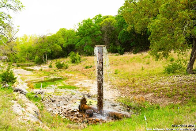 Lot 5 N Shapen Springs Rd Property Photo 31