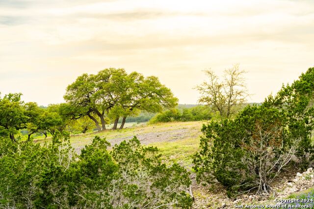 Lot 5 N Shapen Springs Rd Property Photo 35