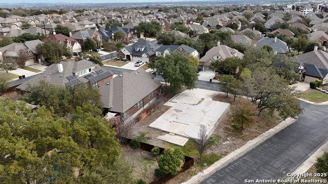 5503 Orange Tree Property Photo 4