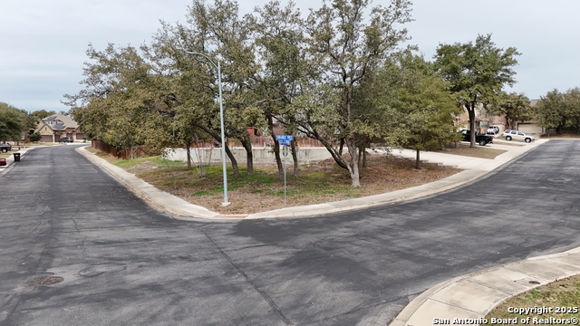 5503 Orange Tree Property Photo 8
