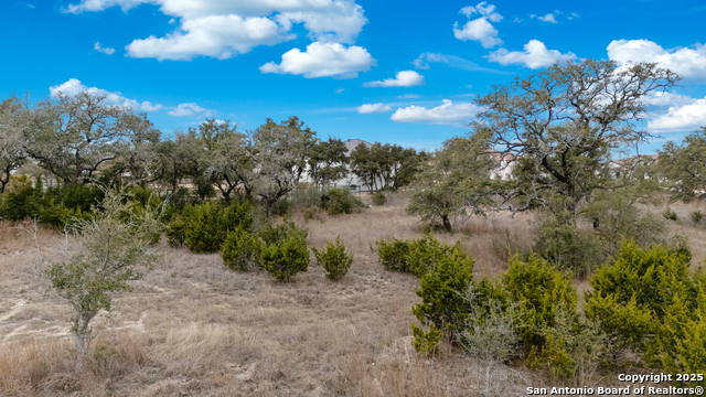 11314 Montell Pt. (lot 9) Property Photo 3