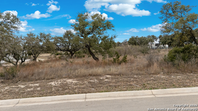 11314 Montell Pt. (lot 9) Property Photo 6