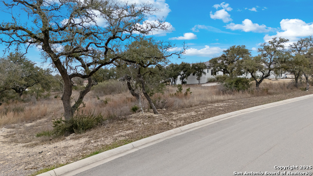 11314 Montell Pt. (lot 9) Property Photo 7