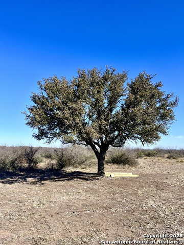 200 Axis Spur Property Photo 5