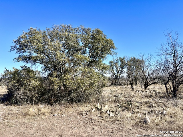 200 Axis Spur Property Photo 20