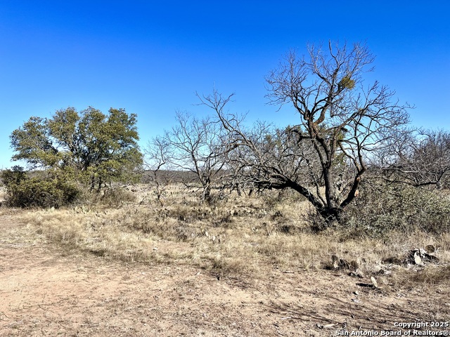 200 Axis Spur Property Photo 22