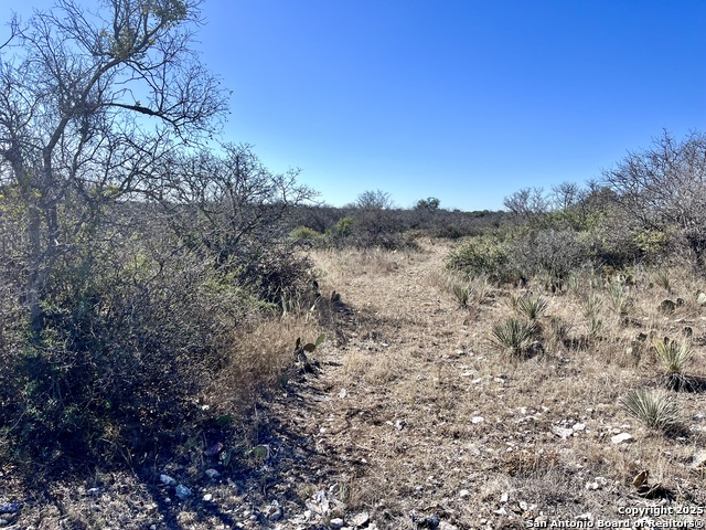 200 Axis Spur Property Photo 23