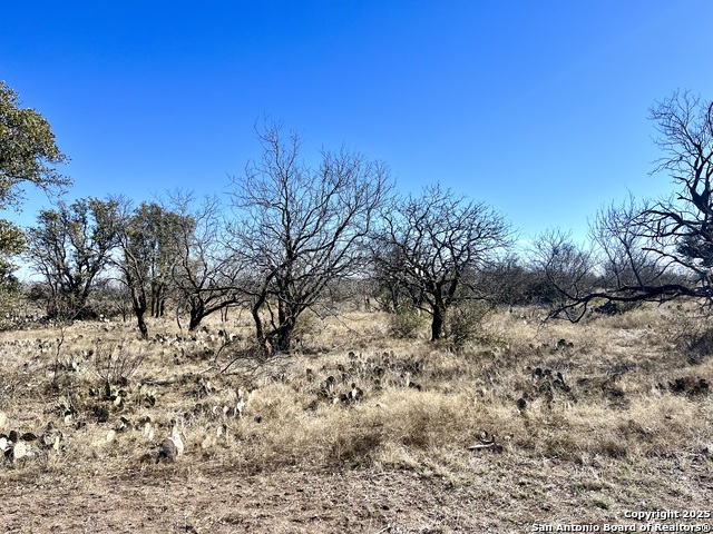200 Axis Spur Property Photo 27