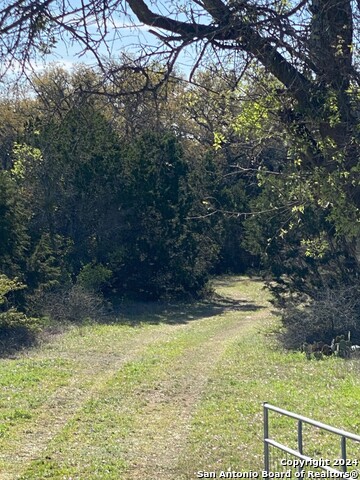 27314 Natural Bridge Caverns Property Photo 2