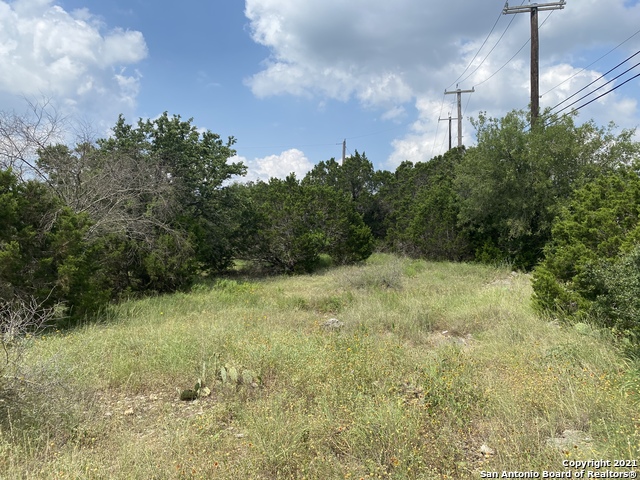 27314 Natural Bridge Caverns Property Photo 7