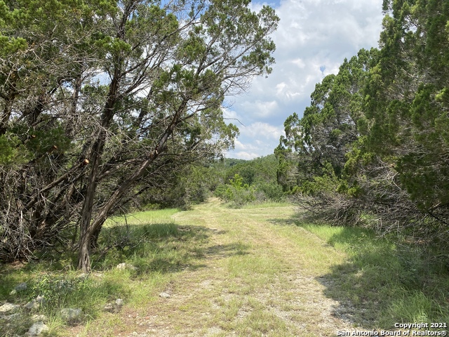 27314 Natural Bridge Caverns Property Photo 18