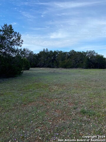 27314 Natural Bridge Caverns Property Photo 21