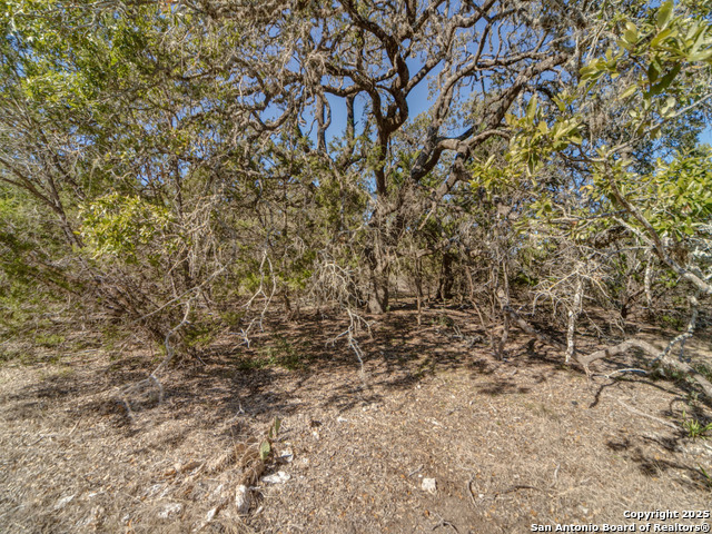 102 Lonesome Dove Property Photo 4