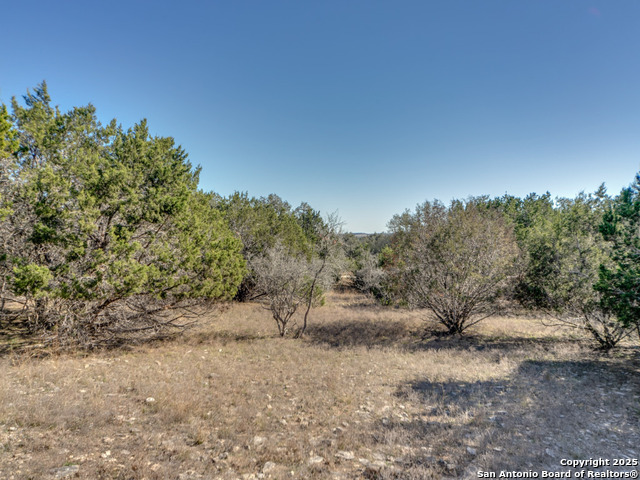 102 Lonesome Dove Property Photo 6