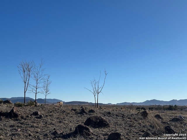 505 E Musquiz Property Photo 3