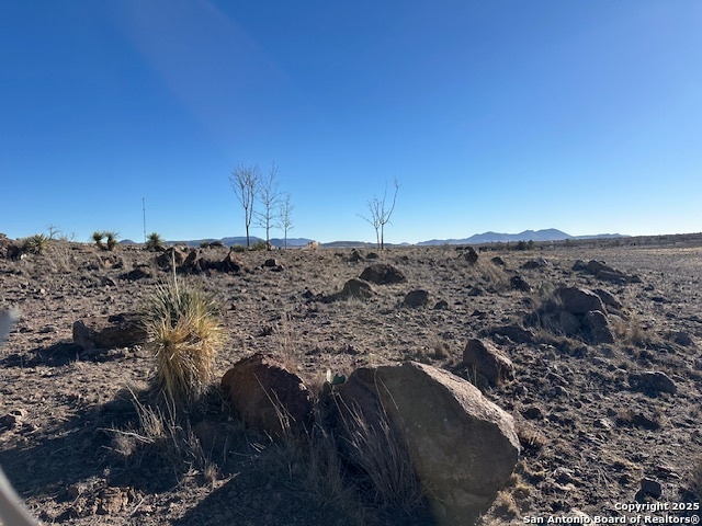 505 E Musquiz Property Photo 15