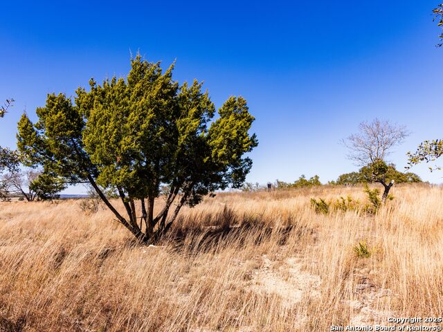 717 N Scenic Hills Property Photo 46