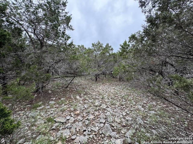 1774 Brook Valley Property Photo 1