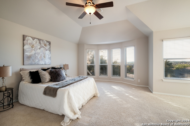 11 Sable Vly Property Photo 27