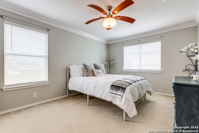 2707 Crown Holw Property Photo 10