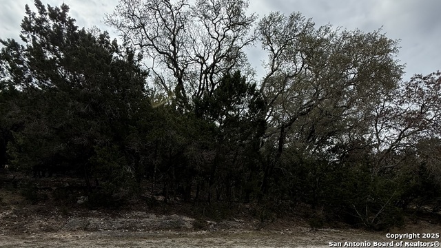 Lot 16 Forrest Ridge Property Photo