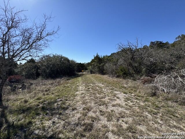 1025 County Road 273 Property Photo 3