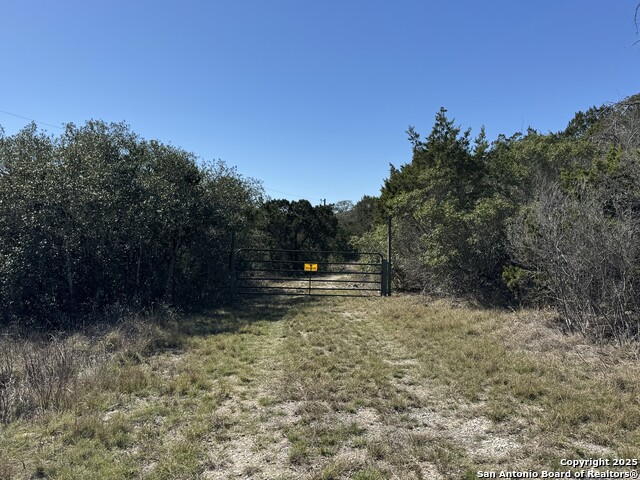 1025 County Road 273 Property Photo 4