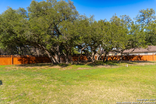 8610 Classic Oaks Property Photo 35