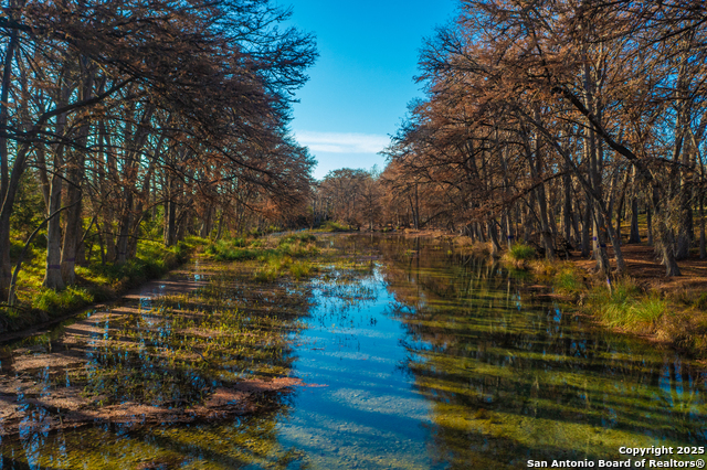 000 Little Dry Frio Rd Lot 1-5 Property Photo