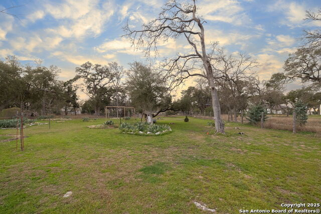 1207 Acquedotto Property Photo 48