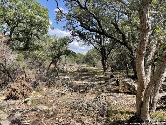 330 rayner ranch Property Photo 1
