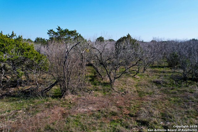 22156 Old Nacogdoches Rd Property Photo 8