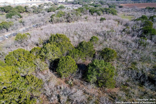 22156 Old Nacogdoches Rd Property Photo 9