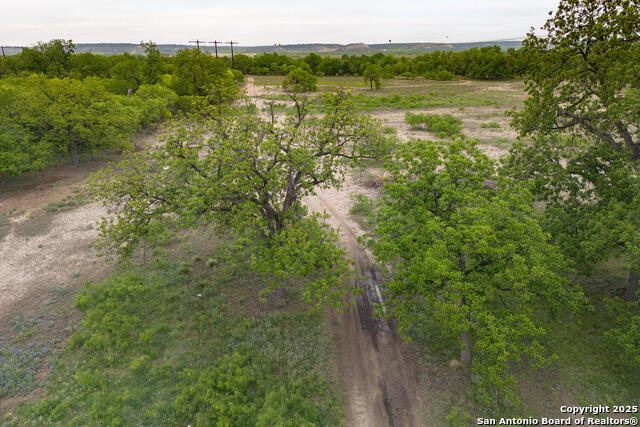 308 Hackberry Property Photo 3