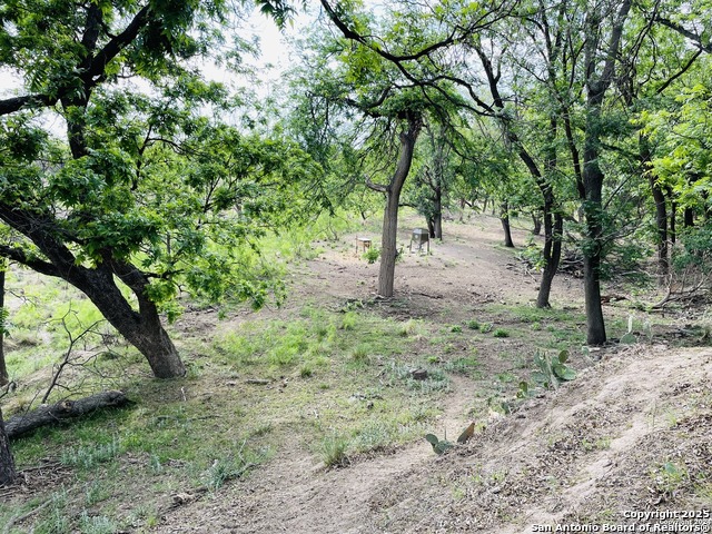 308 Hackberry Property Photo 6