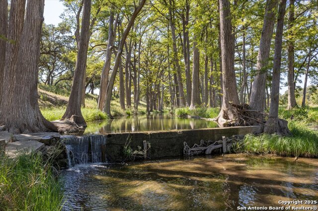 211 Bear Creek Property Photo 6