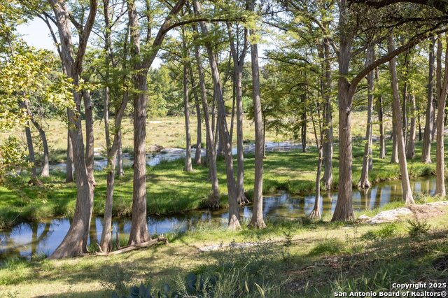 211 Bear Creek Property Photo 9