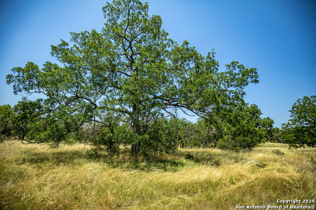 154 Steel Creek Crest Property Photo