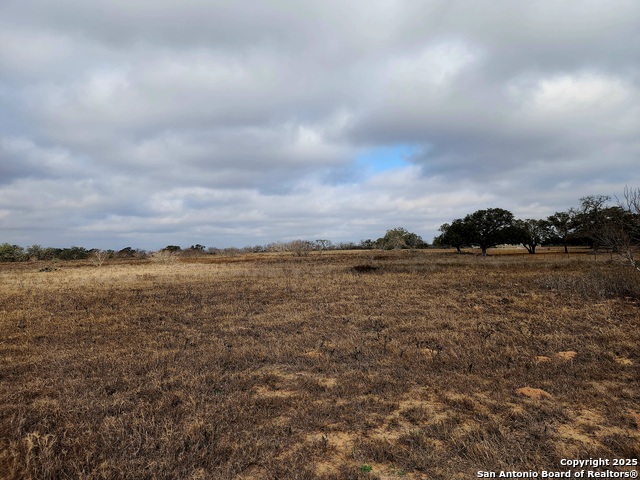 217 Pr Olga Property Photo