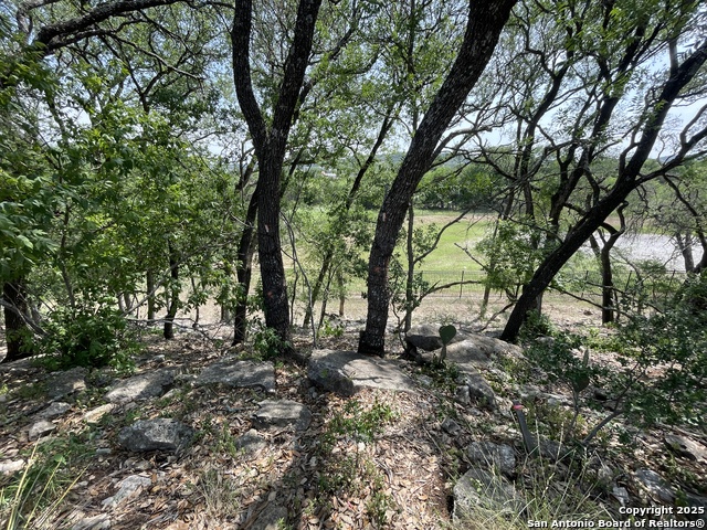24635 Cliff Line Property Photo 3