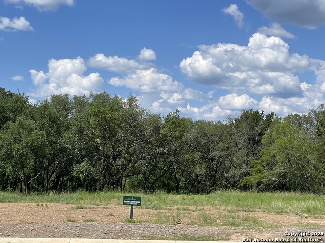 24635 Cliff Line Property Photo 4