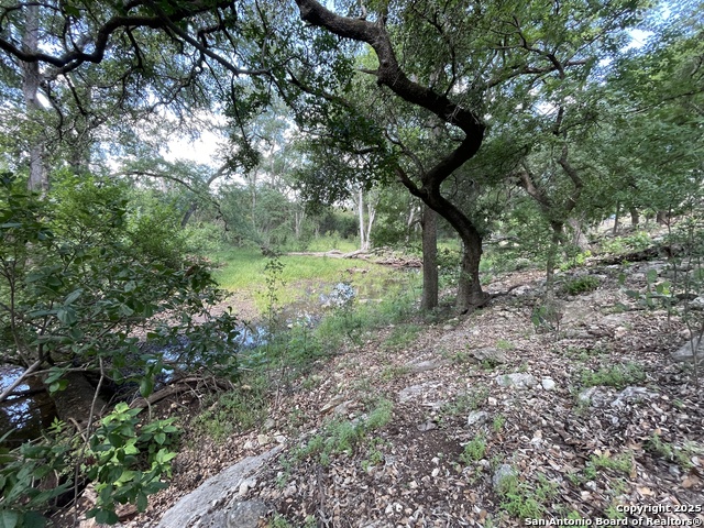 24635 Cliff Line Property Photo 6