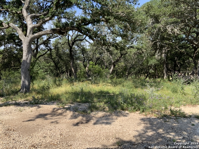 24643 Cliff Line Property Photo 2