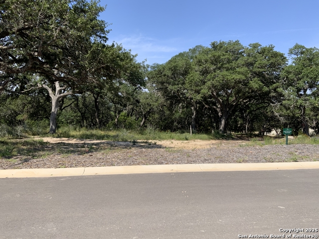 24643 Cliff Line Property Photo 3