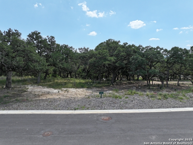 24643 Cliff Line Property Photo 5
