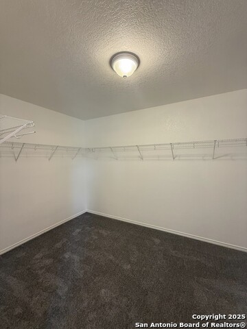 7718 Sundew Mist Property Photo 17